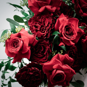 Premium | Weekly Subscription